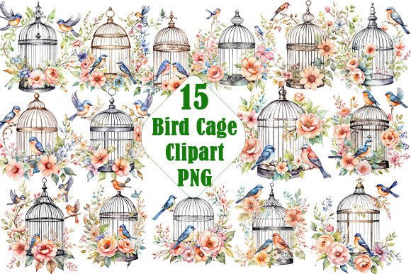 Bird Cage Watercolor PNG Clipart Bundle Review