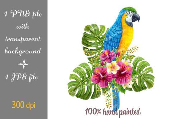 Parrot Macaw Watercolor Ara Tropical PNG Illustrations