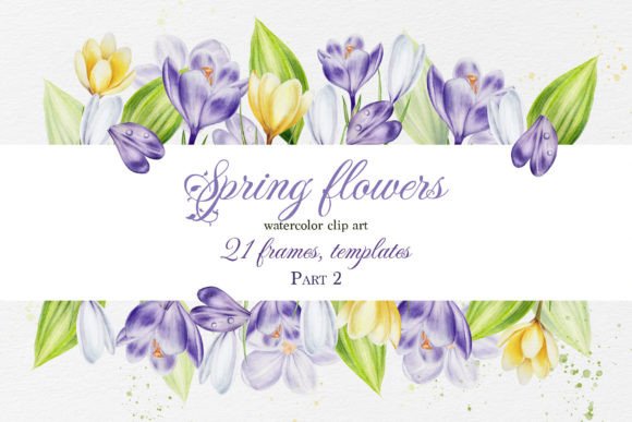 Spring Flower Frames Watercolor Illustrations Review