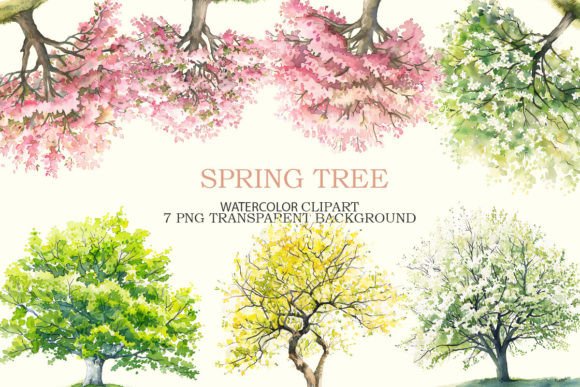 Spring Tree Watercolor Clipart Bundle: Illustrations Review