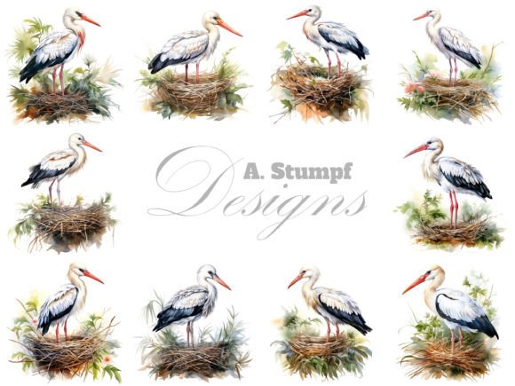 Stork Clipart Watercolor Bird Art Print Illustrations