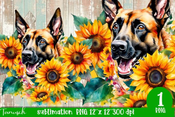 Watercolor Belgian Malinois Sublimation Illustrations