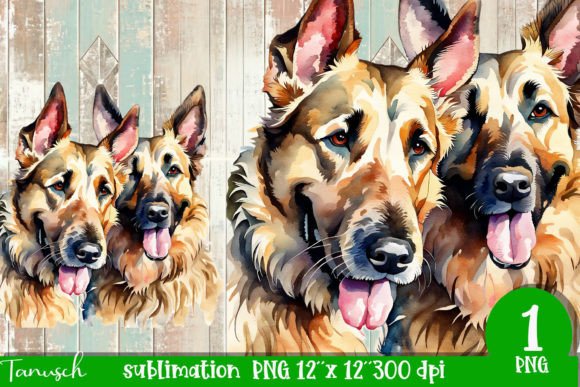 Watercolor Berger Picard Sublimation Illustrations