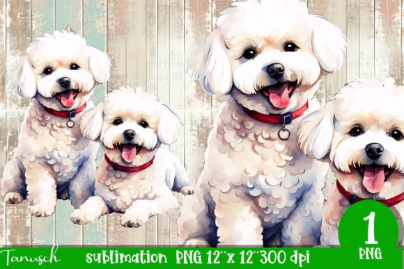 Watercolor Bichon Frise Sublimation Illustrations