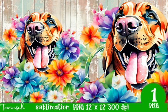 Watercolor Bloodhound Sublimation Illustrations Review
