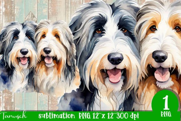 Watercolor Boarded Collie Illustrations for Digital Products