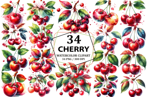Watercolor Cherry Clipart Sublimation: Illustrations Review