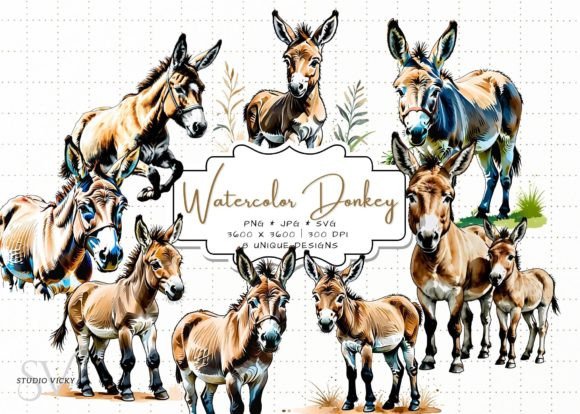 Watercolor Donkey Clipart in Illustrations