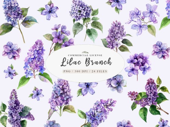 Watercolor Lilac Flowers Clipart for Illustrations