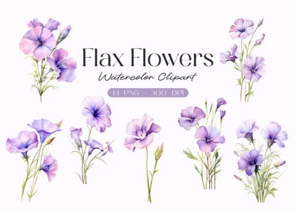 Watercolor Purple Flax Flowers Clipart Illustrations