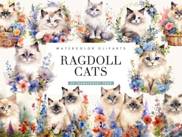 Watercolor Ragdoll Cats Clipart Bundle Illustrations