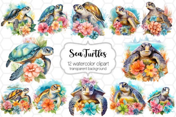 Watercolor Sea Turtle Clipart PNG Bundle Illustrations