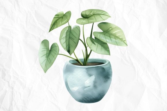 Watercolor Vase Houseplant Illustrations for Editorial