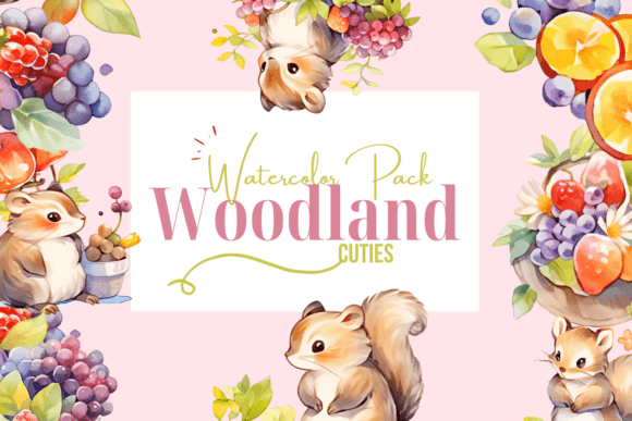 Woodland Cutie Illustrations: A Designer’s Review